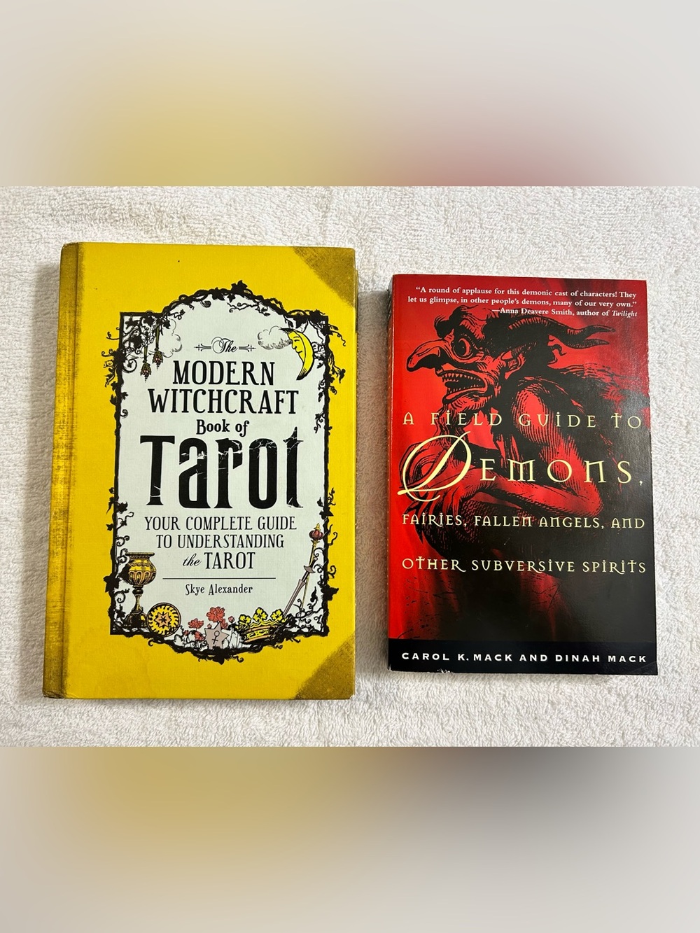 The Modern Witchcraft Book of Tarot and Field Guide To Demons Book Bundle